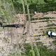 A fin whale that had stranded several times in the River Great Ouse near the town of Kings Lynn in Norfolk, East England. The unusually warm weather in June of 2018 made conditions tricky for the post mortem.